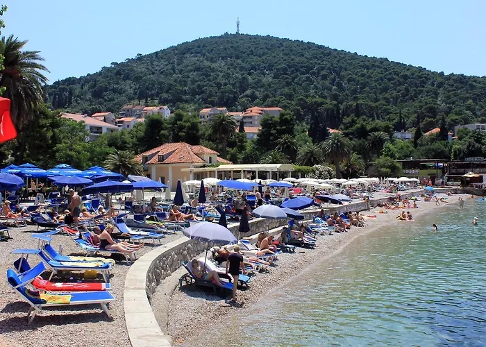 Apartamento With Wifi - 8592